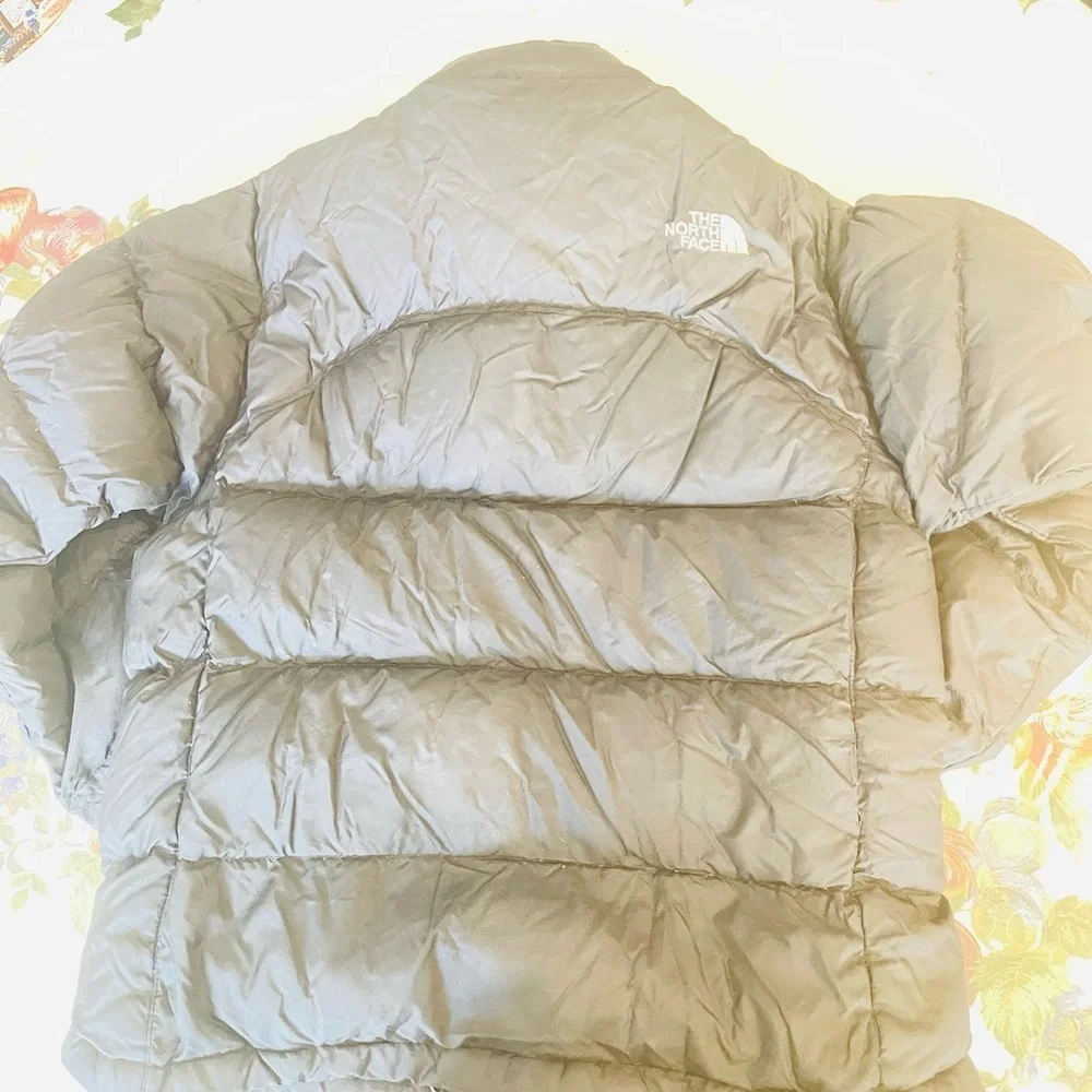 The North Face Nuptse 700 Down Jacket Blue Speckled